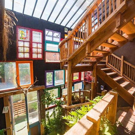 Rio Libre Pucon Party Hostel 외부 사진