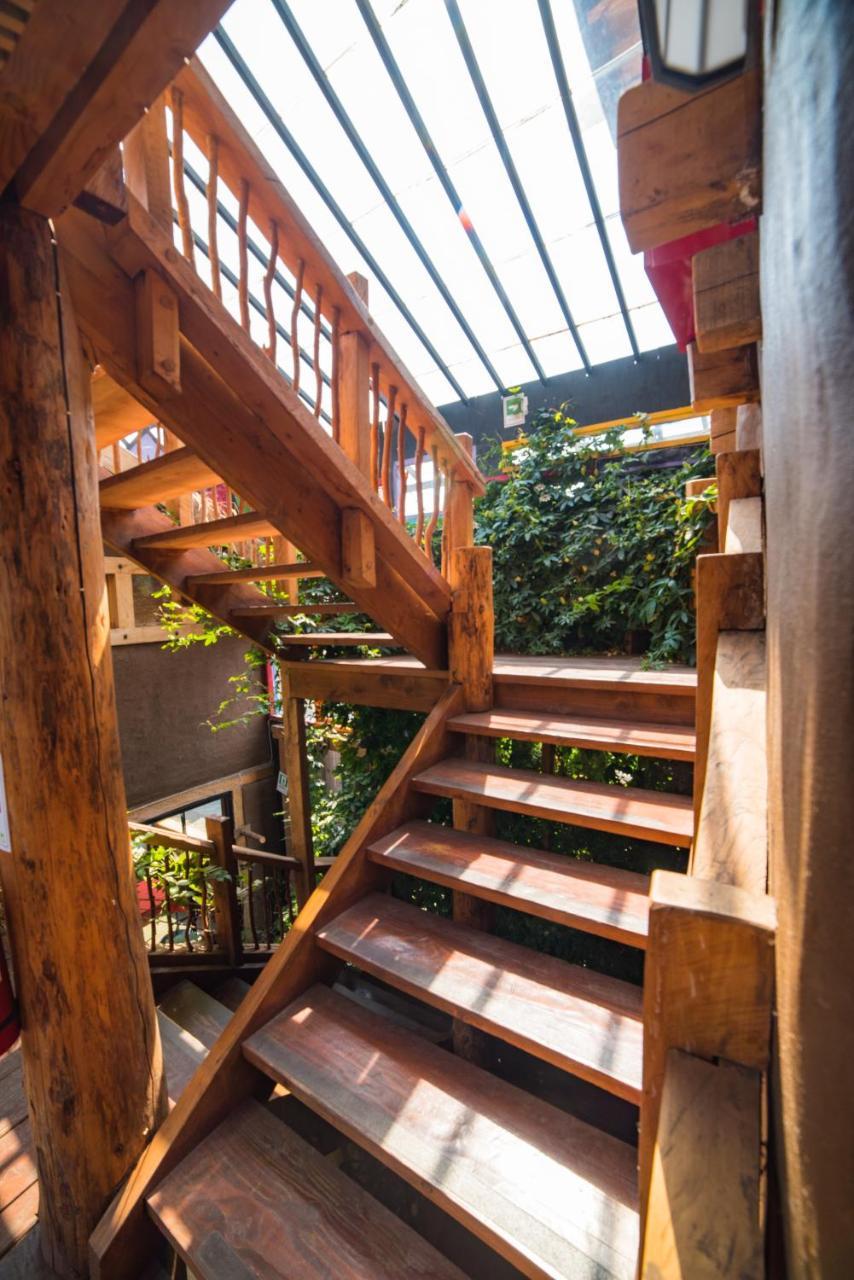 Rio Libre Pucon Party Hostel 외부 사진